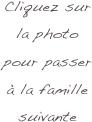 Cliquez sur la photo
pour passer à la famille suivante 